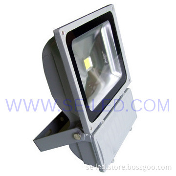 Low Energy 100W Bridgelux LED Flood Light Cool White